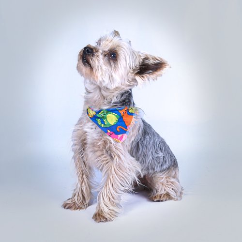 Photo post from medicalpettj.