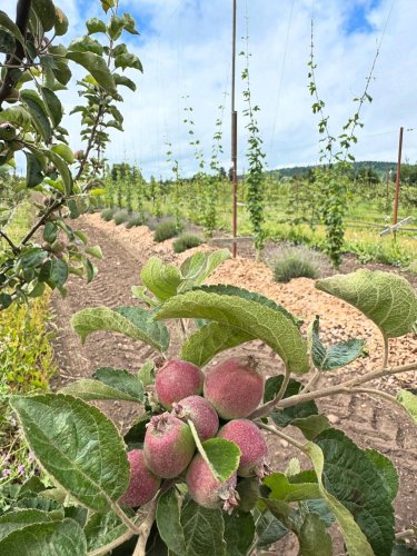 Photo post from finnriver.