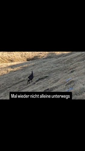 Video post from gipfelbuch.online.