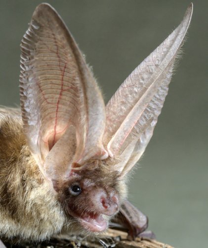 Photo post from insidenatgeo.