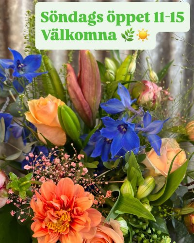 Photo post from blomsterborsen.