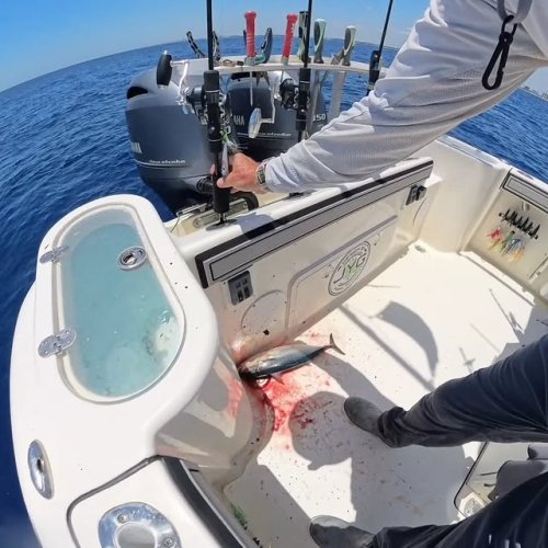 Video post from ejs_fishing_charters.