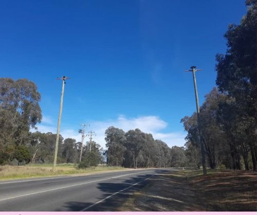 Video post from alburycity.