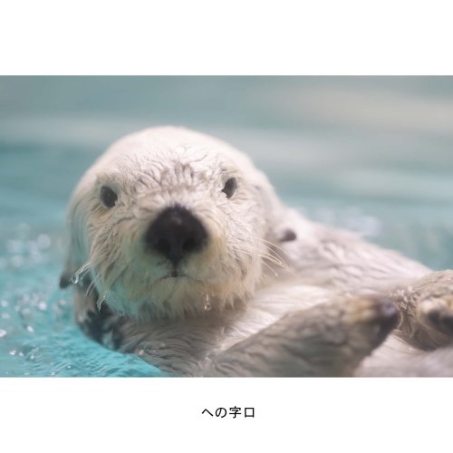 Latest photo