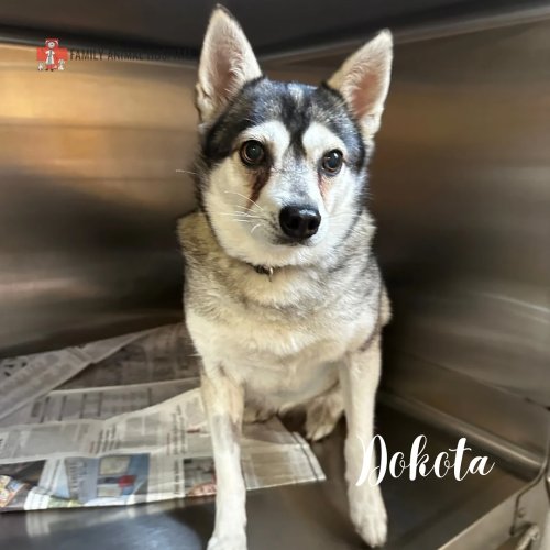 Photo post from familyanimalhospitalcm.