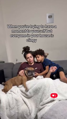 Video post from mixedchickshair.