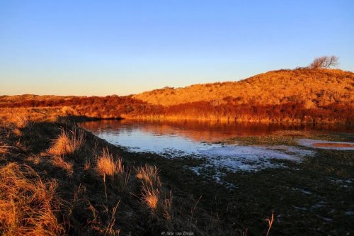 Photo post from ditiskatwijk.