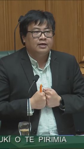 Video post from nzgreenparty.