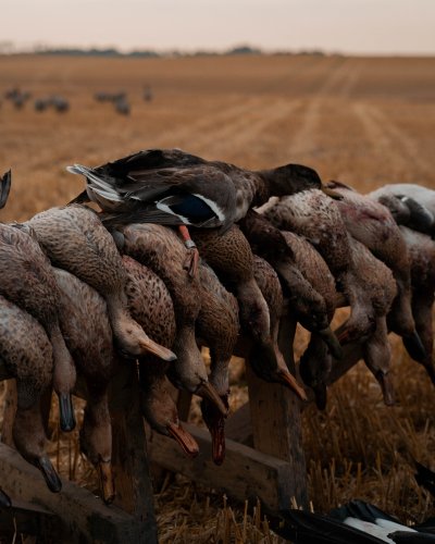 Photo post from northernskiesoutfitters.