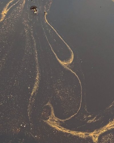 Carousel post from sun_sushi_restaurant.