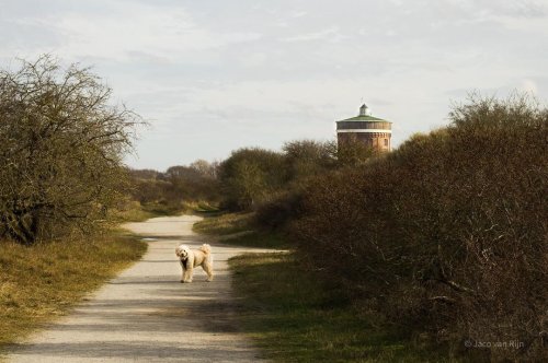 Photo post from ditiskatwijk.