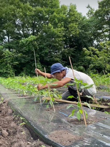 Carousel post from daisenbou.