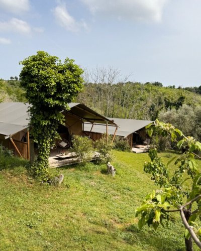 Carousel post from glampings.