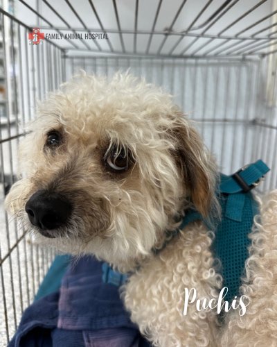 Photo post from familyanimalhospitalcm.