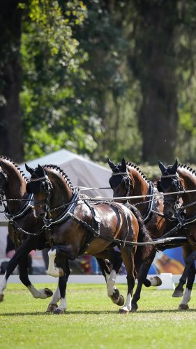 Video post from fei_global.