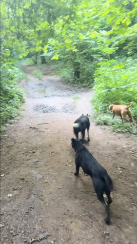 Video post from pipsadventurewalks.