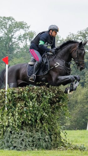 Video post from fei_global.