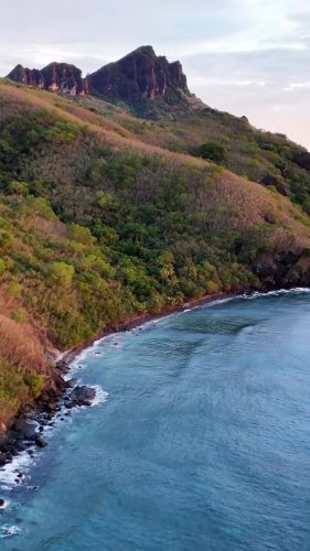 Video post from octopusresort.