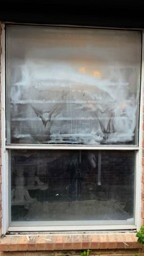 Video post from renoviewusa.