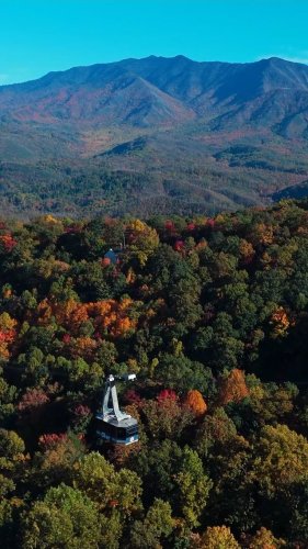 Video post from obermountain.