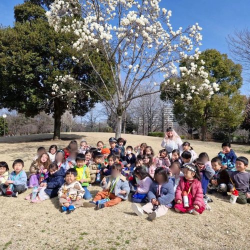 Photo post from eifjtokyo.