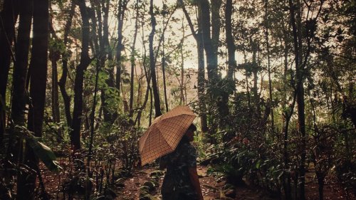 Carousel post from jakbobby.