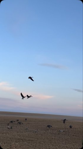 Video post from northernskiesoutfitters.