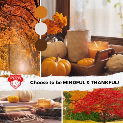 Photo post from blazersvolleyballacademy.