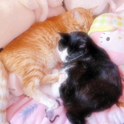 Photo post from margaritabloom.