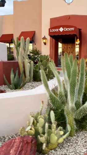 Video post from visittucson.