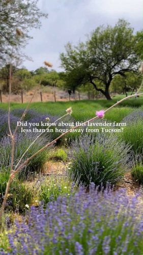 Video post from visittucson.