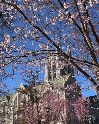 Photo post from bcwoodscollege.