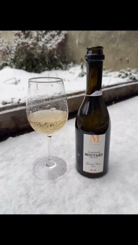 Video post from dandywineshop.