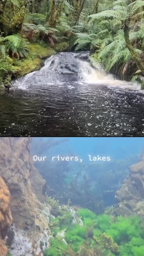 Video post from nzgreenparty.