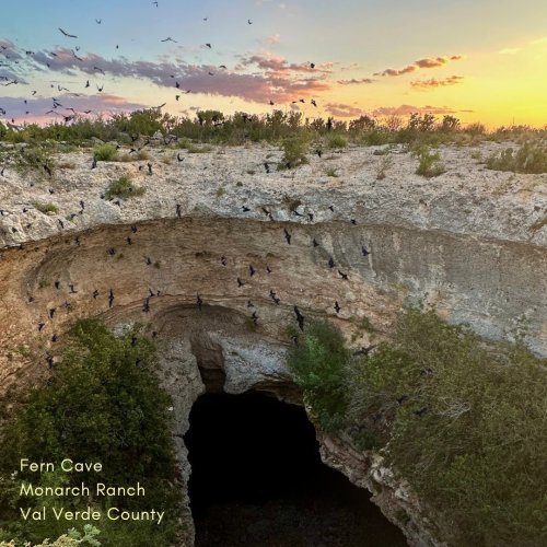 Photo post from devils_river_conservancy.
