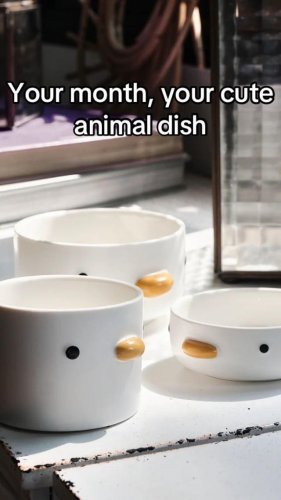 Video post from crane_living.