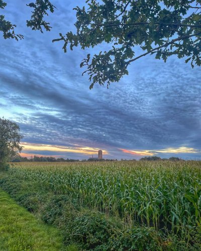 Photo post from visitoirschot.