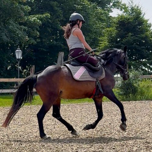 Photo post from julia.porzelt.