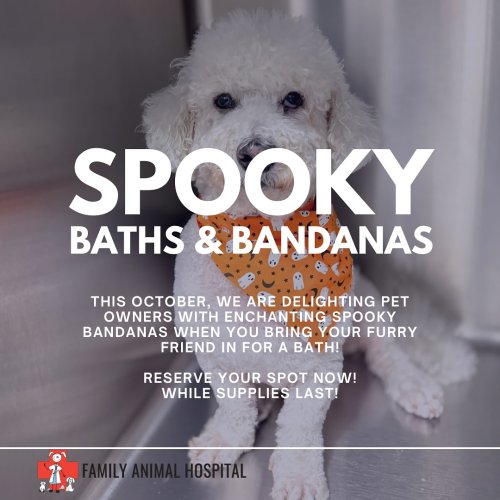 Carousel post from familyanimalhospitalcm.