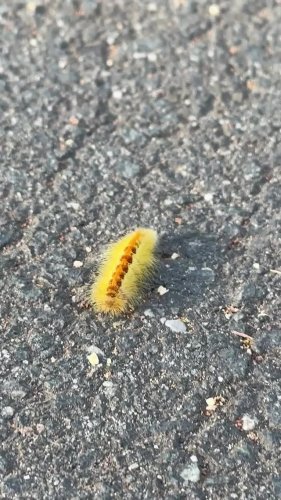 Video post from alburycity.