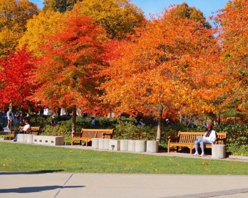 Photo post from bostoncollege.