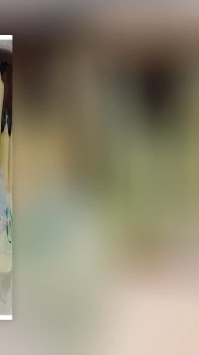 Video post from niftygiftynorfolk.