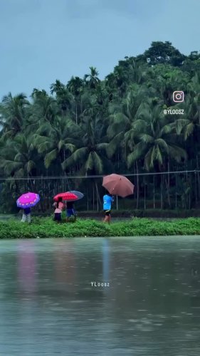 Video post from edappalam.info.