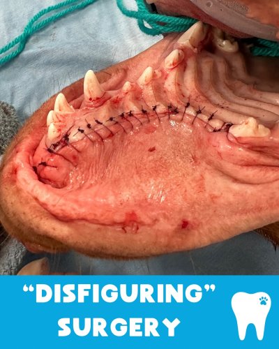 Carousel post from toothy.thomson.