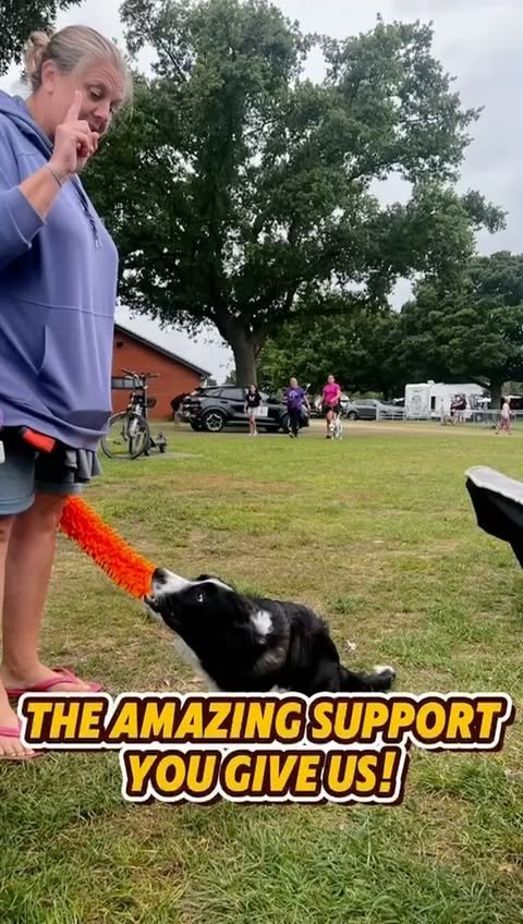 Video post from pawstrading.