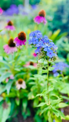 Video post from gortoncenterlf.