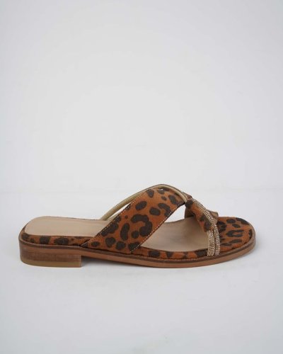 Carousel post from ossoshoes.