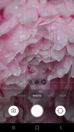 Video post from illumina_photos.