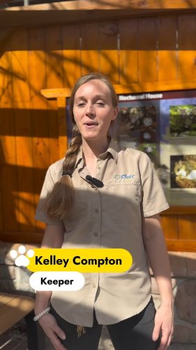 Video post from obermountain.