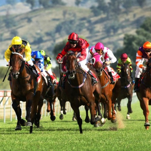 Carousel post from visitalburywodonga.